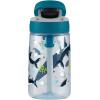 imageContigo Aubrey Kids Water Bottle with Silicone Straw and Spill Proof Lid 14oz 2Pack Whales ampamp Dragon Blue ampamp GreenWhite Sharks